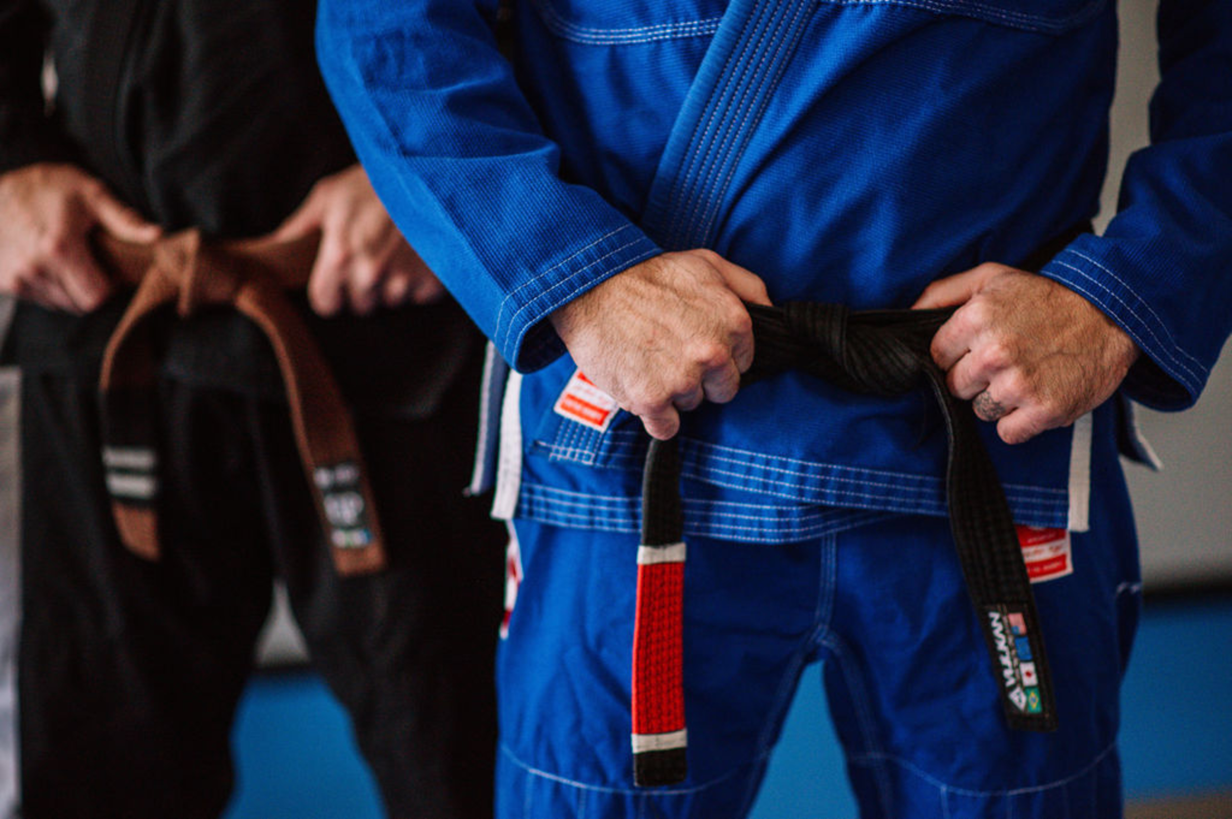 Venice Jiu-Jitsu Memberships image